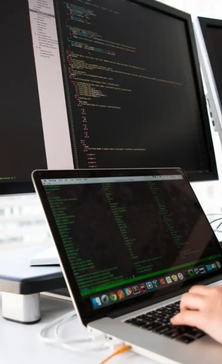 Webontwikkeling Coderen Developer