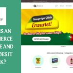 What is an E-commerce Website and How Does It Work?